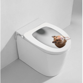 Наклейка 3D UKC в туалет ( Мышка 1)